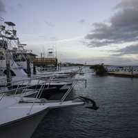 Boats in the Harbor in the Florida Keys