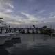 Boats at the Harbor with pelican in the air