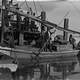 Child labor used to harvest oysters, 1909 in Apalachicola, Florida