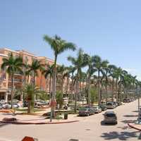 Mizner Park with palm trees in Boca Raton, Florida