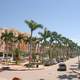 Mizner Park with palm trees in Boca Raton, Florida