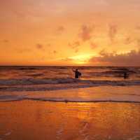 Orange Scenic sunset in Florida