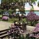 Veranda at Hotel Alabama in Winter Park, Florida around 1922