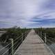 Boardwalk Walkway into the Lagoon