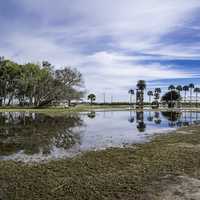 Flooded Swampy landscape in St. Augustine
