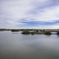 Marsh Lagoon Landscape in St. Augustine