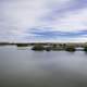 Marsh Lagoon Landscape in St. Augustine