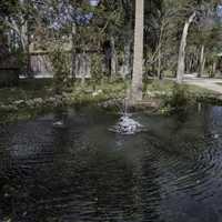 Spring at the Fountain of Youth