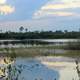 Lake Landscape at St Sebastion River State Park, Florida