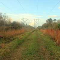 Main Trail at St. Sebastion River State park, Florida