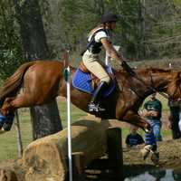 Cross-country riding competition at Red Hills Horse Trial in Tallahassee, Florida