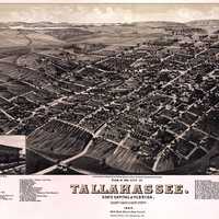 Tallahassee Cityscape in Florida in 1885