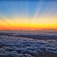 Skies and Clouds in Tampa, Florida