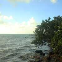 Sea view at Tavernier Key, Florida