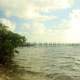 Shore view at Tavernier Key, Florida