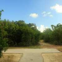 Trail walk at Tavernier Key, Florida