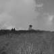 Monochrome Photo of Brasstown Bald, Georgia