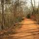 Nature Trail at High Falls State Park, Georgia