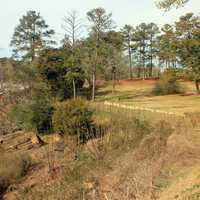 Trees and Landscape at High Falls State Park, Georgia