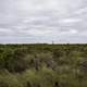 Landscape and Sky and clouds in Okefenokee National Wildlife Refuge