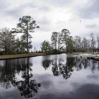 Ponds and landscape near the visitors center at Okefenokee National Wildlife Refuge