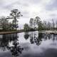 Ponds and landscape near the visitors center at Okefenokee National Wildlife Refuge