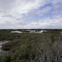 Surrounding Landscape of Okefenokee National Wildlife Refuge