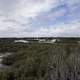 Surrounding Landscape of Okefenokee National Wildlife Refuge