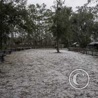 The Yard of the Chesser Island Homestead