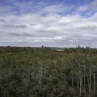 Tower view of the surrounding Landscape