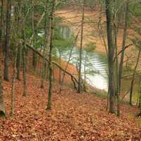 Inlet of the lake at Redtop Mountain State Park, Georgia