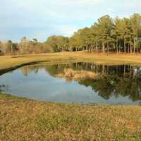 Kiddie Pond and landscape at Reed-Bingham State Park, Georgia