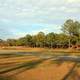 Main Park Area at Reed-Bingham State Park Georgia