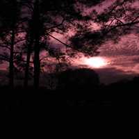 Purple Sunset at Reed Bingham State Park, Georgia