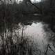 Swamp/Marsh at Dusk at Reed-Bingham State Park Georgia