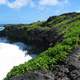 Kipahulu region in Haleakalā National Park