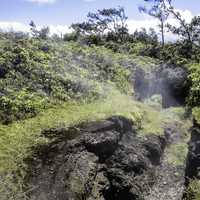 Steam Plumes on Crater at Hawaii Volcanoes National Park