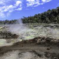 Sulphur Banks steam at Hawaii Volcanoes National Park