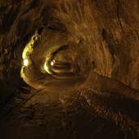 Thurston Lava Tube at Hawaii Volcanoes National Park