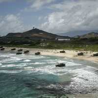 Amphibious assault vehicles on the Hawaii Beach