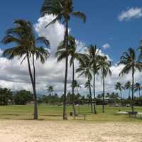 Ewa Beach landscape with Palm Trees and sky in Hawaii