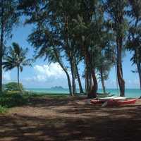 Peaceful and typical scene behind the residential areas of Waimānalo in Hawaii