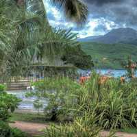 Tropical Paradise Landscape in Hawaii