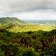 Wide Angle Forest Landscape of Oahu in Hawaii