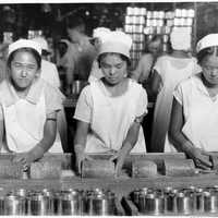 Young women packing pineapples in Hawaii