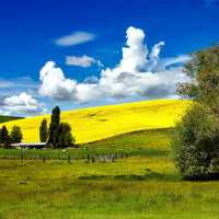 Beautiful Landscape and Clouds in Idaho