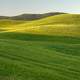 Green, Grassy hills landscape