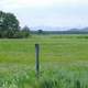 Green Meadow landscape in Island Park, Idaho