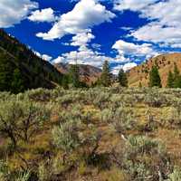 Sawtooth national Forest landscape in Idaho