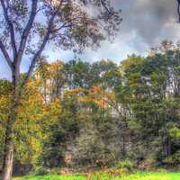 View of trees at Apple River Canyon State Park, Illinois